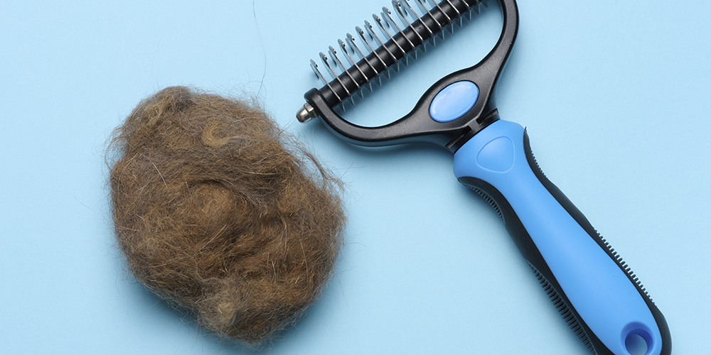 3 Ways to Naturally Reduce Hairballs